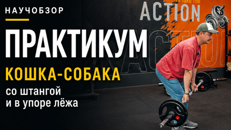Практикум 1. Кошка-собака: со штангой и в упоре лёжа
