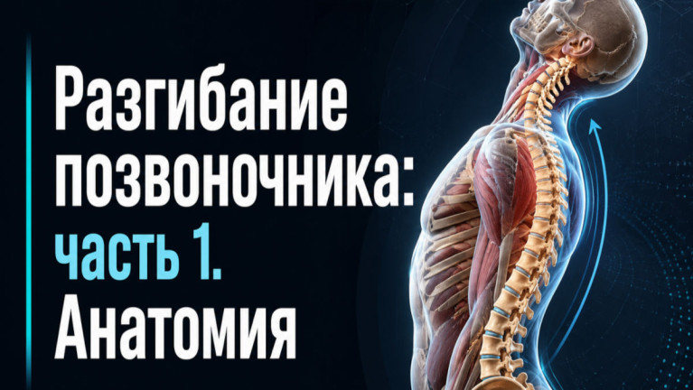 Курс "Функциональная анатомия". Часть 15. Разгибание позвоночника I: Анатомия: позвоночник, позвонок, межпозвоночный диск